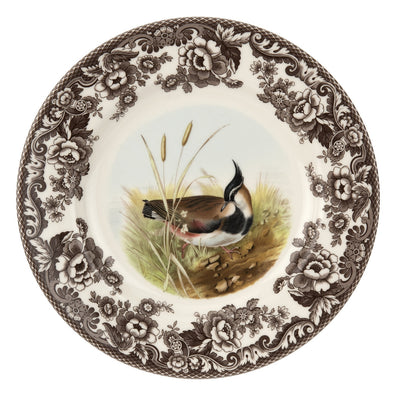 Woodland by Spode (Birds)