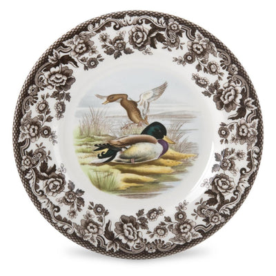 Woodland by Spode (Birds)