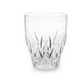 Aurora Crystal Clear Tritan Acrylic Glass Drinkware